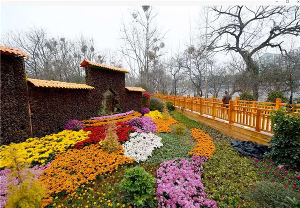 飛龍島園林景觀(guān)項(xiàng)目